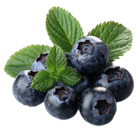 Fresh ripe bilberry and green leaf flying isolated on transparent background png
