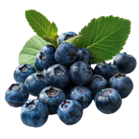 Fresh ripe bilberry and green leaf flying isolated on transparent background png