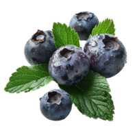 Fresh ripe bilberry and green leaf flying isolated on transparent background png