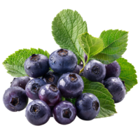Fresh ripe bilberry and green leaf flying isolated on transparent background png
