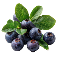 Fresh ripe bilberry and green leaf flying isolated on transparent background png