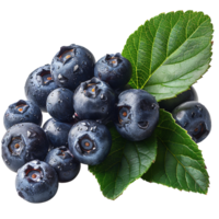 Fresh ripe bilberry and green leaf flying isolated on transparent background png