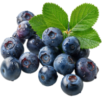 Fresh ripe bilberry and green leaf flying isolated on transparent background png
