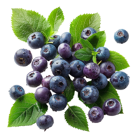 Fresh ripe bilberry and green leaf flying isolated on transparent background png