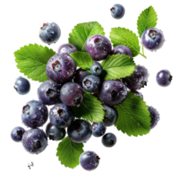 Fresh ripe bilberry and green leaf flying isolated on transparent background png