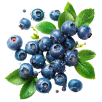 Fresh ripe bilberry and green leaf flying isolated on transparent background png