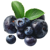 Fresh ripe bilberry and green leaf flying isolated on transparent background png