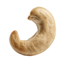 Caju cashew nut isolated on transparent background png