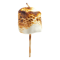 Toasted marshmallow on a stick isolated on transparent background png