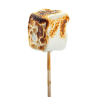 Toasted marshmallow on a stick isolated on transparent background png