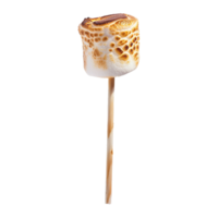 Toasted marshmallow on a stick isolated on transparent background png