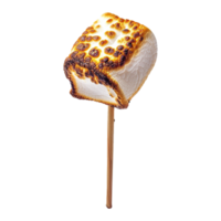 Toasted marshmallow on a stick isolated on transparent background png