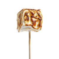 Toasted marshmallow on a stick isolated on transparent background png