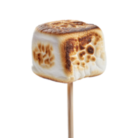 Toasted marshmallow on a stick isolated on transparent background png