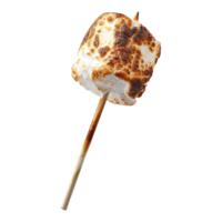 Toasted marshmallow on a stick isolated on transparent background png