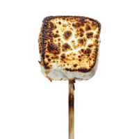 Toasted marshmallow on a stick isolated on transparent background png