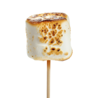 Toasted marshmallow on a stick isolated on transparent background png