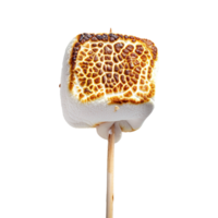 Toasted marshmallow on a stick isolated on transparent background png