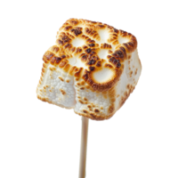 Toasted marshmallow on a stick isolated on transparent background png