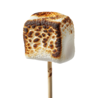 Toasted marshmallow on a stick isolated on transparent background png