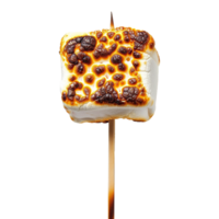 Toasted marshmallow on a stick isolated on transparent background png