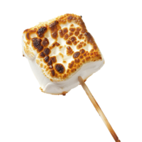 Toasted marshmallow on a stick isolated on transparent background png