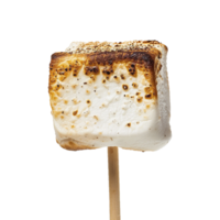 Toasted marshmallow on a stick isolated on transparent background png