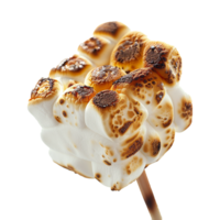 Toasted marshmallow on a stick isolated on transparent background png