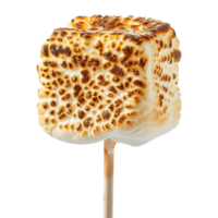 Toasted marshmallow on a stick isolated on transparent background png