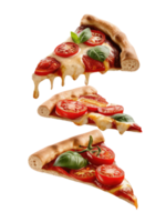 Three Slices of Pizza on a White Background png