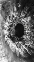 The texture of the iris resembles a galaxy with swirls of varying shades. Black and white art. photo