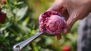 A s scooping up a refreshing scoop of cold sorbet the result of a day spent foraging for wild strawberries and blueberries photo