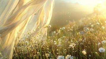 A the wildflowers and tall grasses the billowing fabric catches rays of sunlight adding an ethereal touch to the valley photo