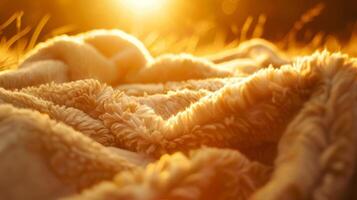 A cozy fleece blanket being flung into the air its soft texture illuminated by the sun photo