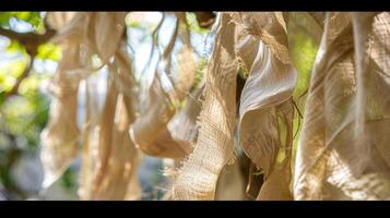 The wind rustles through a tree adorned with strands of fluttering burlap giving it an organic and earthy feel photo