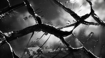Moody shadows cast against the reflective surface of a broken mirror. Black and white art. photo