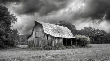 Sitting at the edge of a lush green field the old barn stands as a silent witness to the passing of time. Black and white art. photo