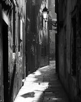 The soft glow of the street lamp casts long shadows adding to the mystery of the narrow alleyway. Black and white art. photo