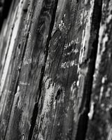 A detailed shot of a rustic wooden sign its grain adding a charming touch to the words written upon it. Black and white art. photo
