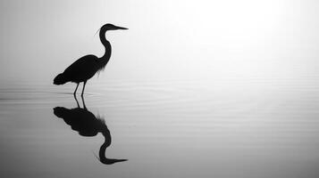 A serene scene of a birds silhouette reflected on glassy water creating a sense of peace and calm. Black and white art. photo