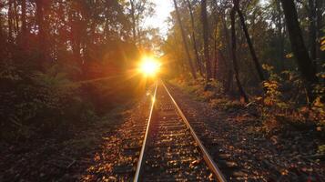 The suns rays filtering through the trees adding another layer of beauty to the sunset train ride photo