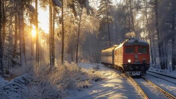 The train winds its way through a frosty forest the sun peering through the trees and casting shadows on the snowy ground photo