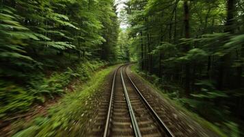 The forest seems to stretch endlessly in all directions a captivating sight from the train photo