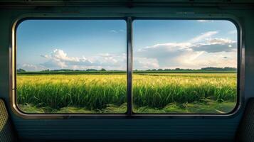 Fields of wheat and corn create a sea of green around the train photo