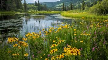 Wildflowers dot the wetlands adding a pop of color to the otherwise green landscape photo