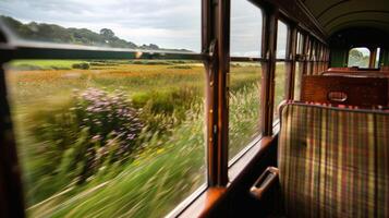 Each passing window reveals a different variety of flowers as the train moves through the fields photo