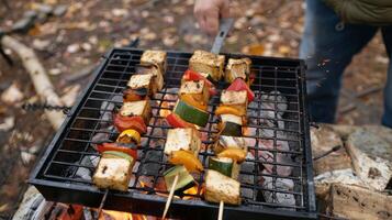 A camper using a grilling basket to cook tofu and veggie kabobs over the open flames photo