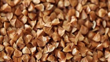 An image of buckwheat groats the tiny triangular seeds that make up the edible part of the plant photo