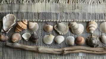 A variety of seashells and driftwood decorate the edges of the blanket adding to the seaside atmosphere photo