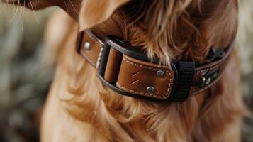 A detailed shot of a highquality leather smart collar reveals intricate stitching and a discreet pocket for a GPS tracking device. The collar also includes a unique QR code that ca photo